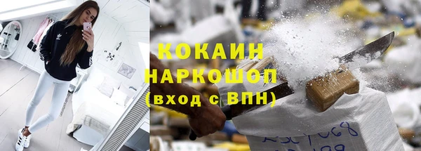 дмт Гусев
