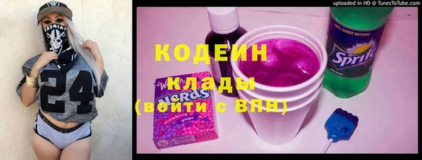 дмт Гусев