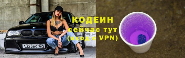 дмт Гусев