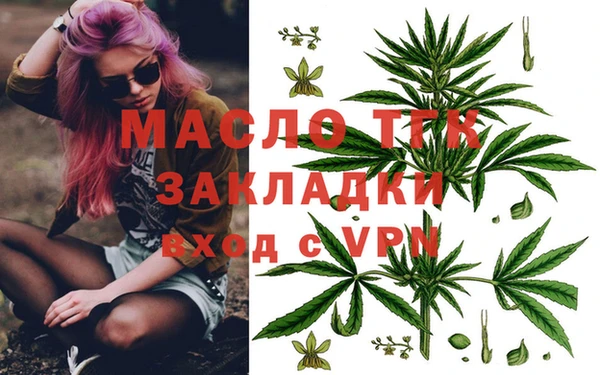 дживик Гусь-Хрустальный