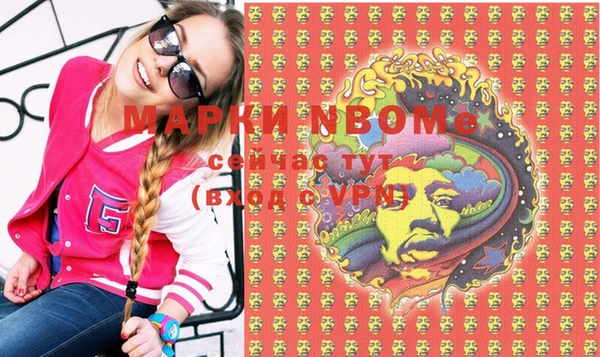 дмт Гусев