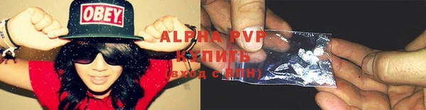 дмт Гусев