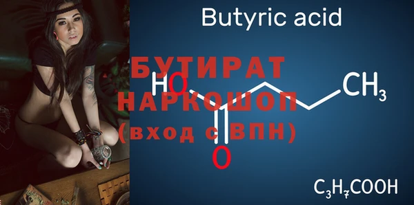 дмт Гусев