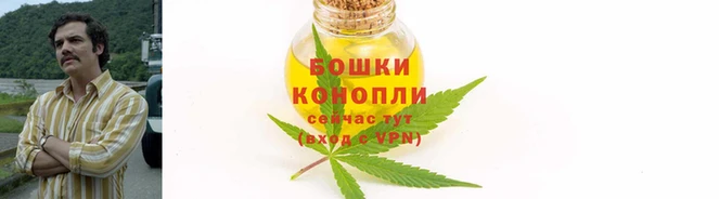 дживик Гусь-Хрустальный
