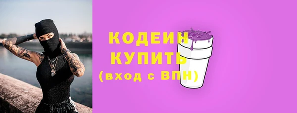 дмт Гусев