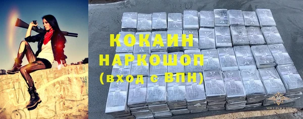 гидропоника Гусиноозёрск