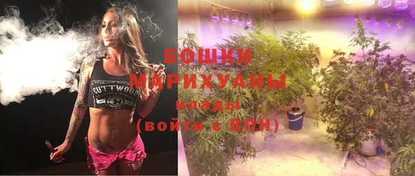 дживик Гусь-Хрустальный