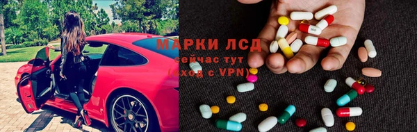 гидропоника Гусиноозёрск