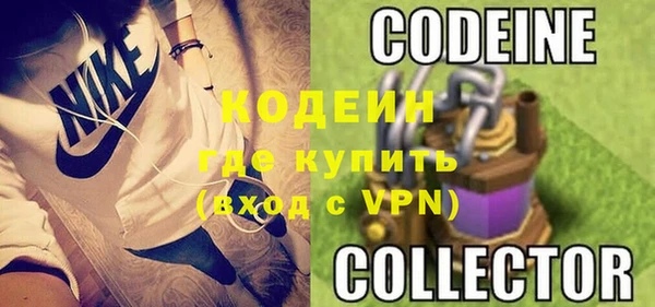 дмт Гусев