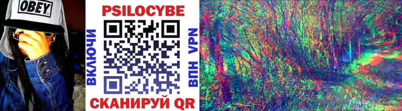 Галлюциногенные грибы Cubensis  Купить закладки  Порхов 